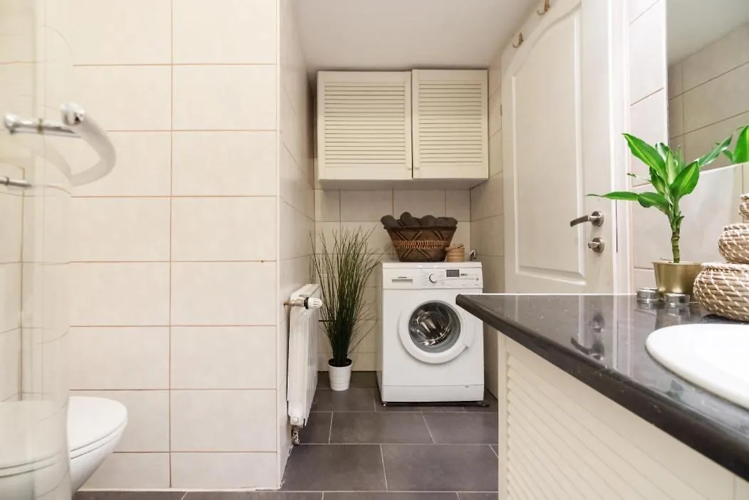 Appartement Three Bedroom, Ideal For Big Groups, 14 Vienne